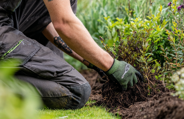 Planzen in Hildesheim Pflanzarbeiten mit Dolinski&Crew